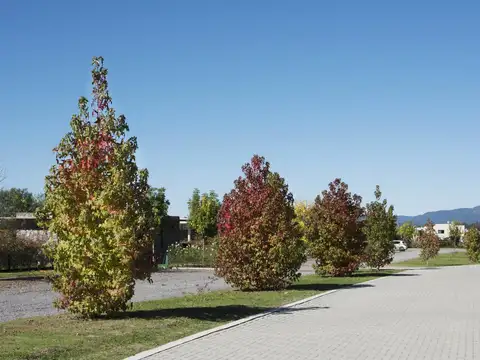Terreno en Venta de 2659,0 m2