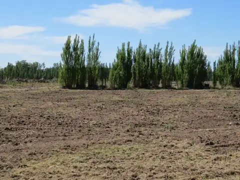 TERRENO LOTEO LA RUFINA