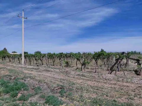 Carril Chimbas km 33