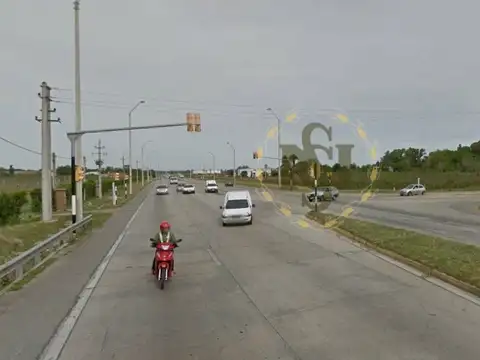 RUTA 102 100
