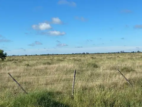 Campo en  estacion diaz