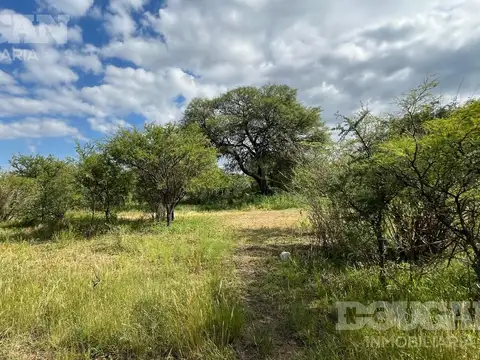 Terreno en Venta 15  mts Frente
