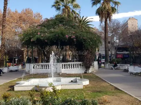 Frente A La Plaza Pellegrin
