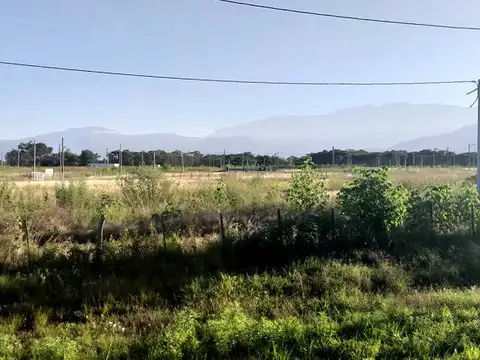 Terreno en Venta en LA CARLOTA