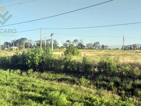 Ruta 24