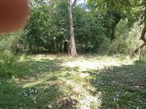 El Hornero