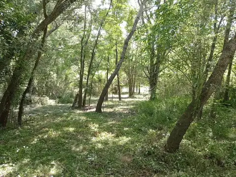 Terreno en Venta de 3093,0 m2