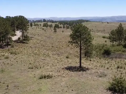 Terreno en Venta en Villa Sierras del Lago, USD 39.000