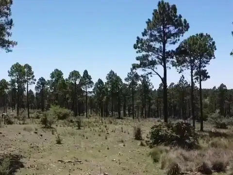 Terreno en Venta de 10070,0 m2