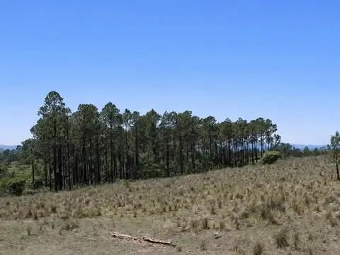 Venta Lote de 1 Hectárea, Villa Berna Calamuchita