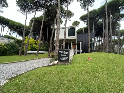 Urraca e/ Caoba y Cerezo