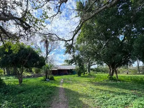 Paso de la