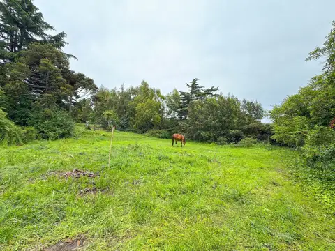  LOTE ZONA CERRITO FRENTE AL PARQUE DEL ORIGEN