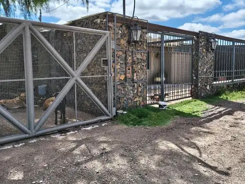 PROPIEDAD EN VENTA CON VIÑEDOS, DOS VIVIENDAS Y TURISMO ACTIVO EN ARRASCAETA S/N, LA COLONIA, JUNIN, MENDOZA
