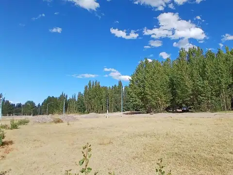 Terreno en Venta en Plottier, USD 19.700