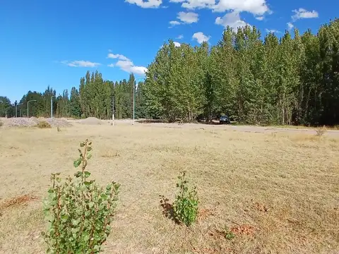 Terreno en Venta de 500,0 m2