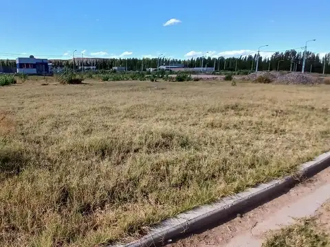 Terreno en Venta en Plottier, USD 19.700