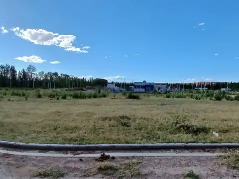 Terreno en Venta de 500,0 m2