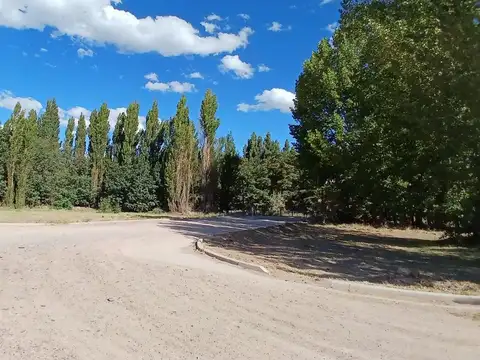 Terreno en Venta en Plottier, USD 19.700