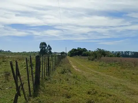 Campo en venta + casa en bellas vista, corrientes