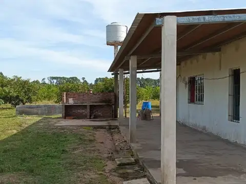Campo en venta + casa en Bellas Vista, Corrientes