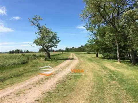 Terreno en Venta de 2000,0 m2