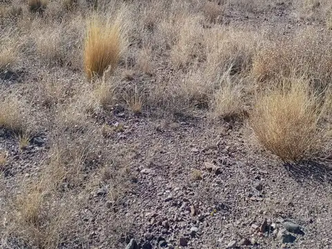 Terreno en venta – san alberto, uspallata, mendoza