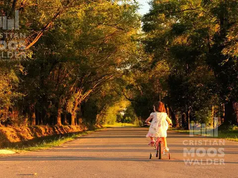 Terreno en Venta en Loma Verde, USD 43.000