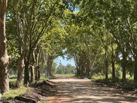 Terreno en Venta en Countries y Barrios Cerrados en Pilar, USD 78.000