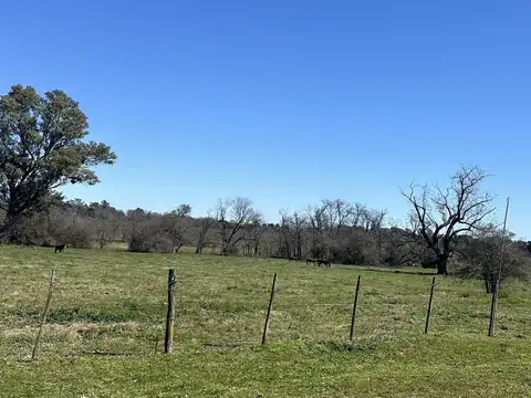 Terreno en Venta de 813,0 m2