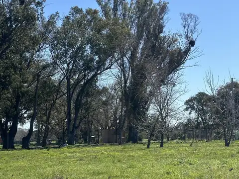 Venta - Lote interno  -  Estancia Carabassa   | VCO Propiedades