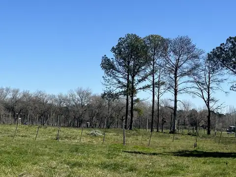 Terreno en Venta de 813,0 m2