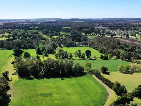 Venta de campo de 75 hectáreas - Ruta 88 Km 14,5 - Mar del Plata