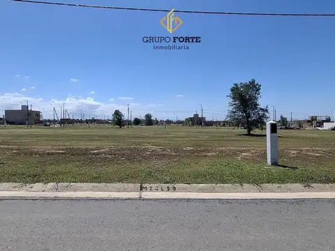 APTO COMERCIO DOCTA SOBRE BOULEVARD LOTE 360