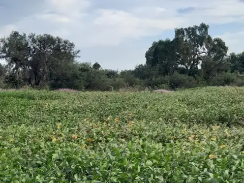 RUTA PROVINCIAL 16 KM 129