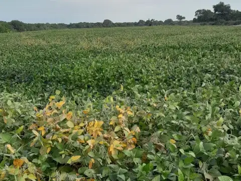 RUTA PROVINCIAL 16 KM 129