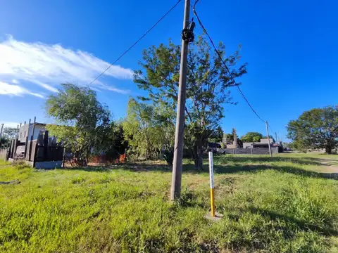 LOTE LOS CEDROS ROLDAN