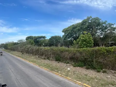 Macrolote Marcos Sastre al 2200