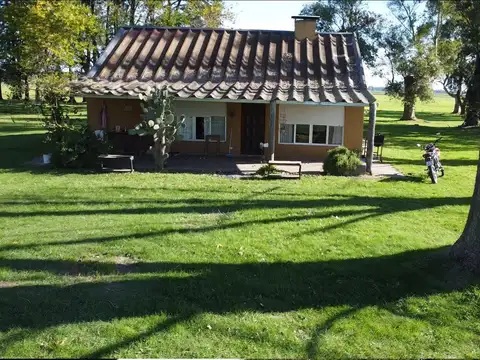 Chacra de 17 ha con dos casas en alquiler- Ideal polo