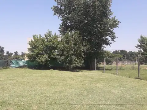 Tomas Espora 3400