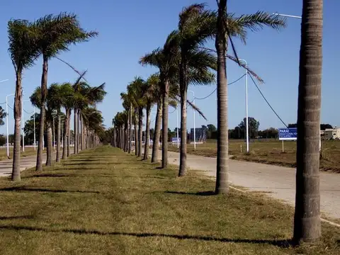 Terreno en  Venta Tierra de Sueños Ciudad Náutica Arroyo Seco