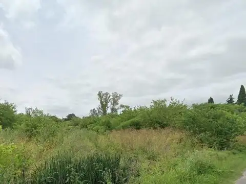 Terreno en Venta de 7037,0 m2