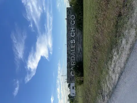 Av Gral San Martin 300