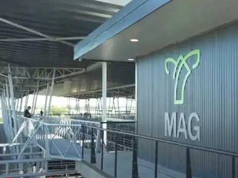 Cañuelas. 189 has de Campo mixto en venta