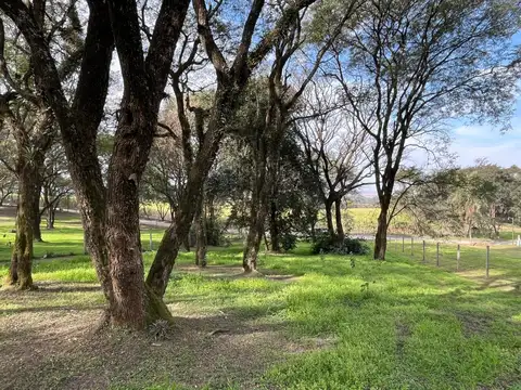 Terreno en Venta de 1282,0 m2