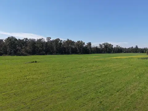 Campo en Venta de 31  ha