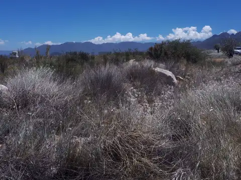 Terreno en Venta en La Consulta, USD 17.500