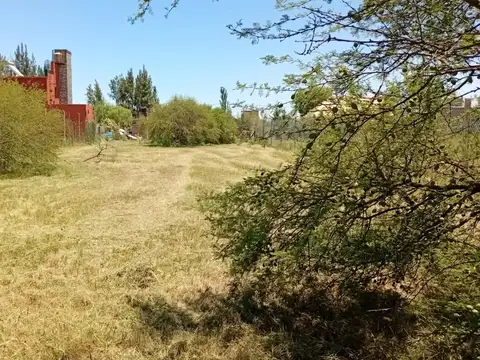 Ruta 1
