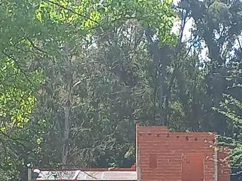 Casa terminar en el barrio Amarylis