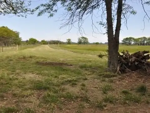 VENTA DE HERMOSO CAMPO DE 8 HECTÁREAS